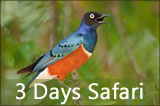 3 Days Mombasa Safari to Tsavo East and Amboseli